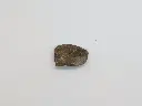 PXL_20250601_172223790.webp