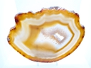 PXL_20250604_161740689.jpg