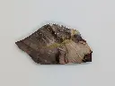 Jasper