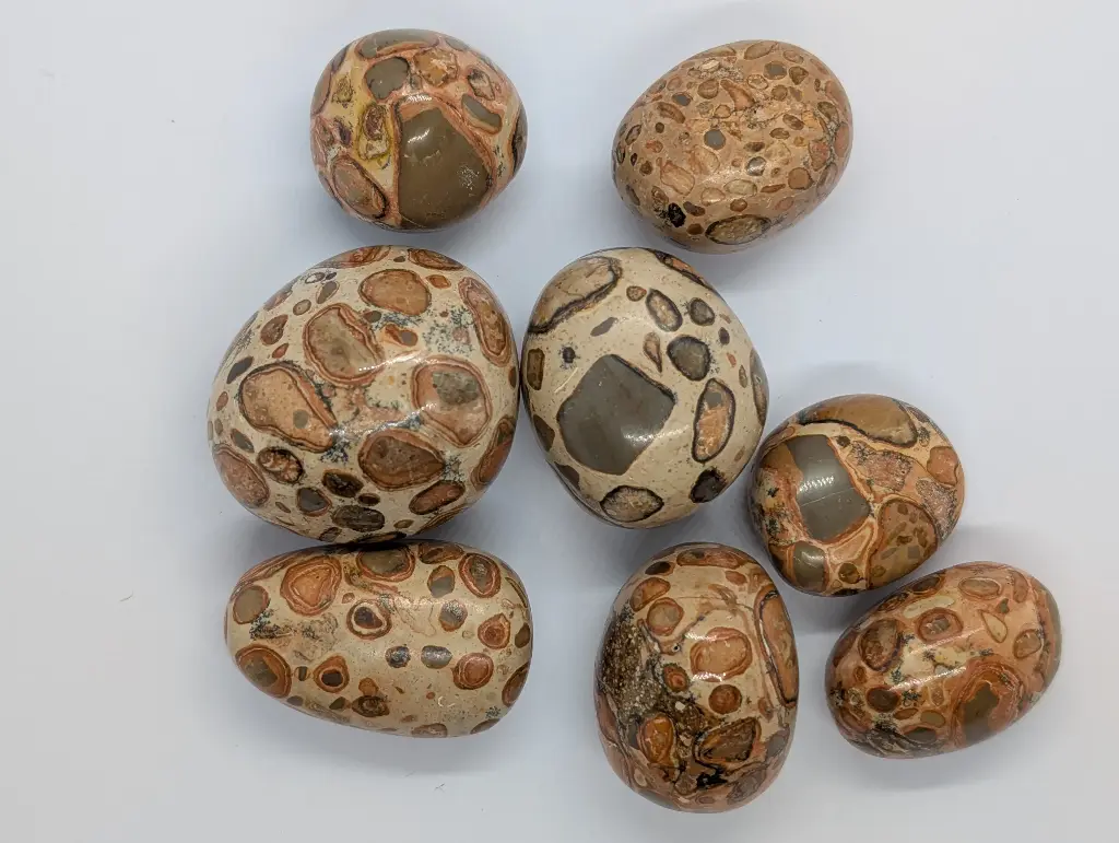 Jasper var. Leopardite