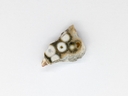 Jaspe “Orbicular”