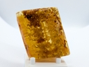 Amber Copal