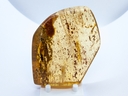 Ambar Copal