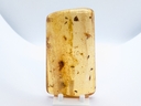 Amber Copal with Insects