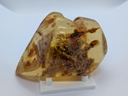 Amber Copal