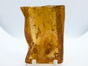 Amber Copal with Insects