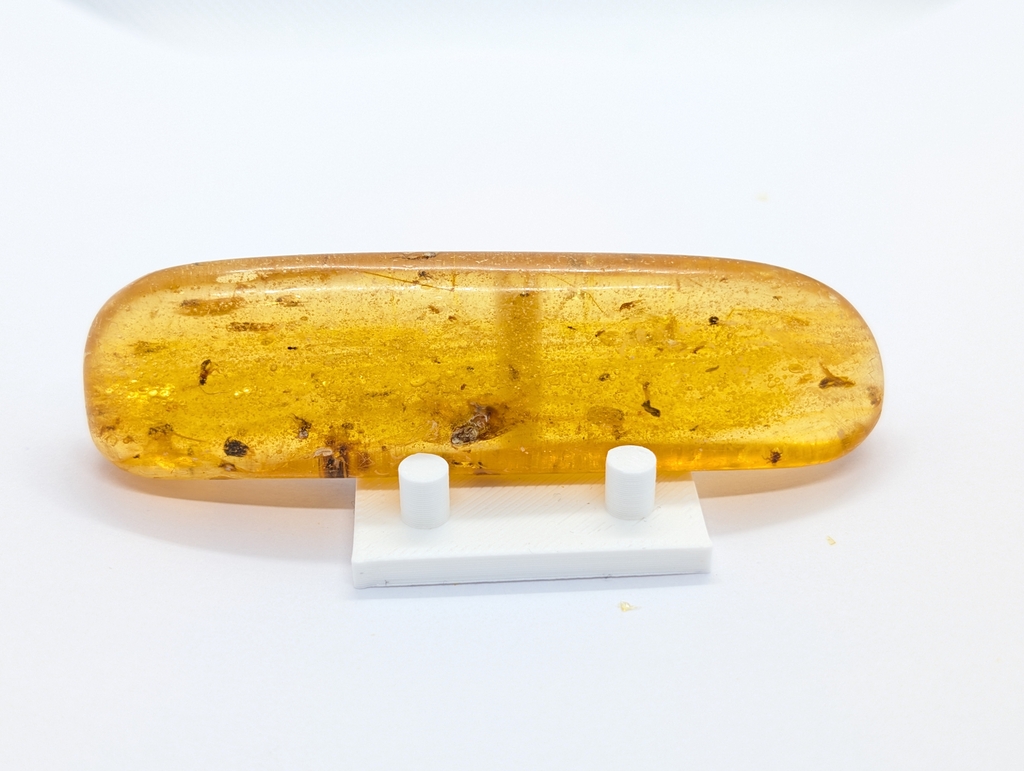 Amber Copal with Insects