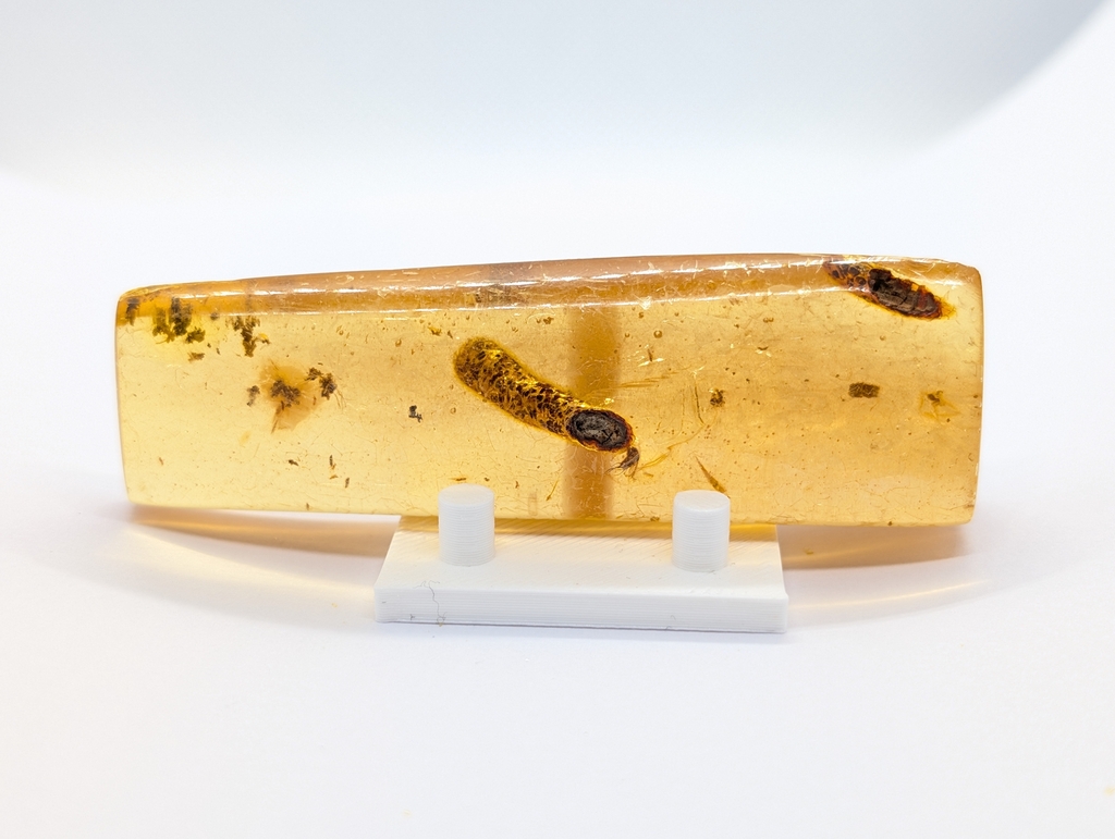 Amber Copal