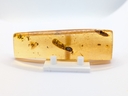 Amber Copal