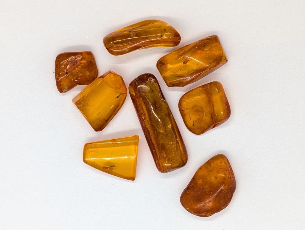 Amber Copal with Insects
