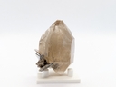 Smoky Quartz with Muscovite
