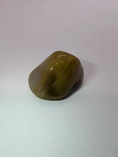 Petrified Wood